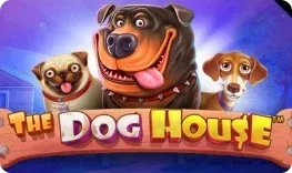 The dog house